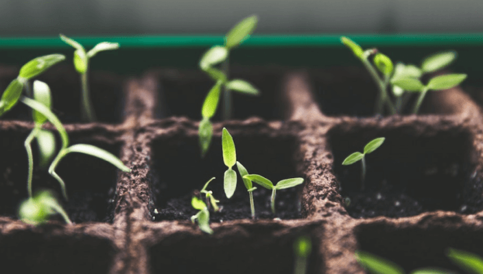 6 Benefits by Implementing AI in Marketing [Infographic]