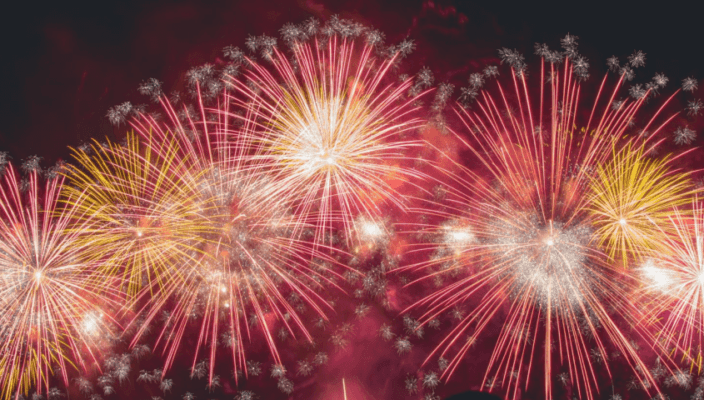 nexoya 2019 Infografik