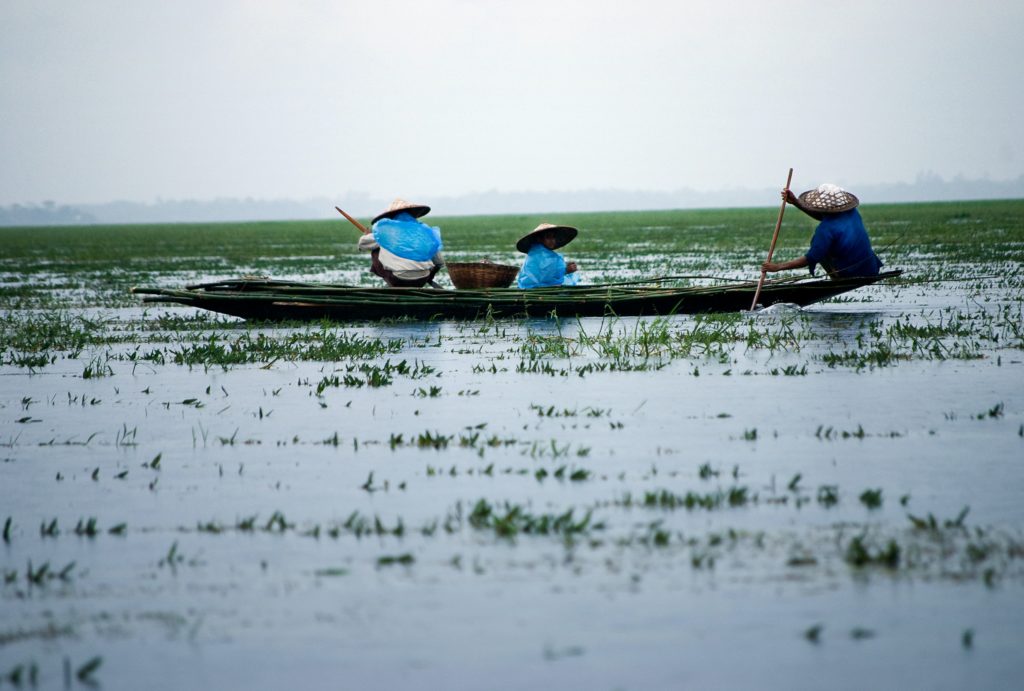 learning is like rowing against the current