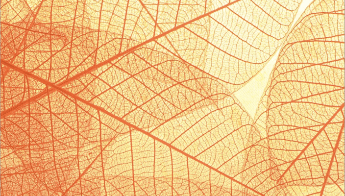 Top 10 Online Advertising Hacks