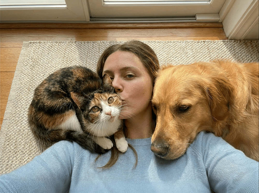 DA Direkt Success story: From Data Overload to Substantial Sales Uplift